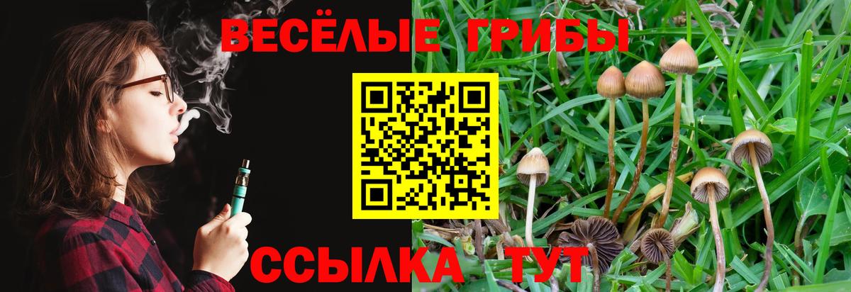 Советская Гавань  Галлюциногенные грибы ЛСД  продажа наркотиков  Вход с VPN 